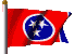 tennesseeflag.gif (8220 bytes)